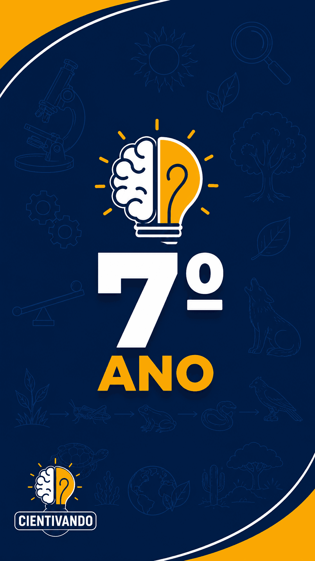 7º Ano