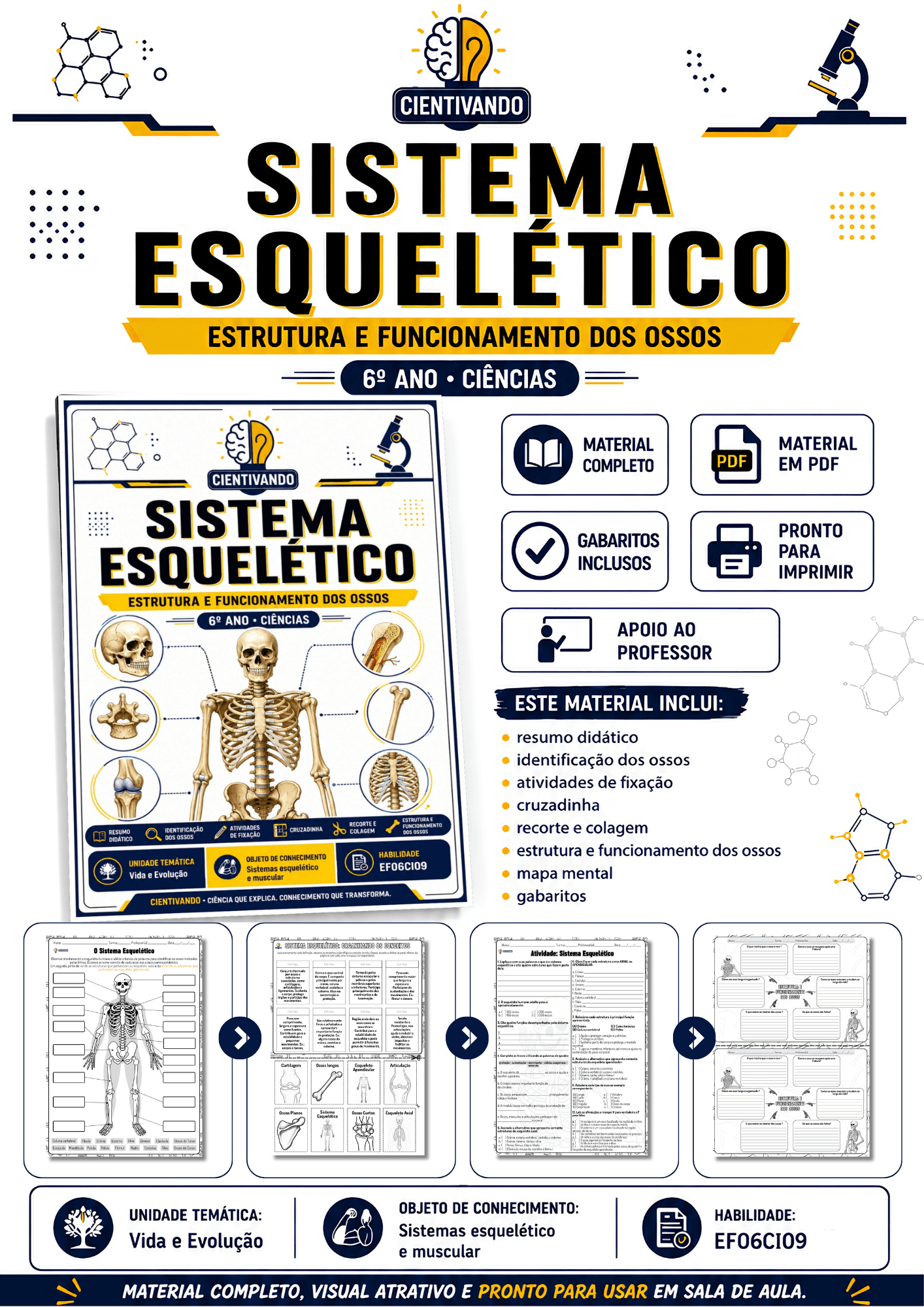 Sistema Esquelético: Estrutura e Funcionamento dos Ossos
